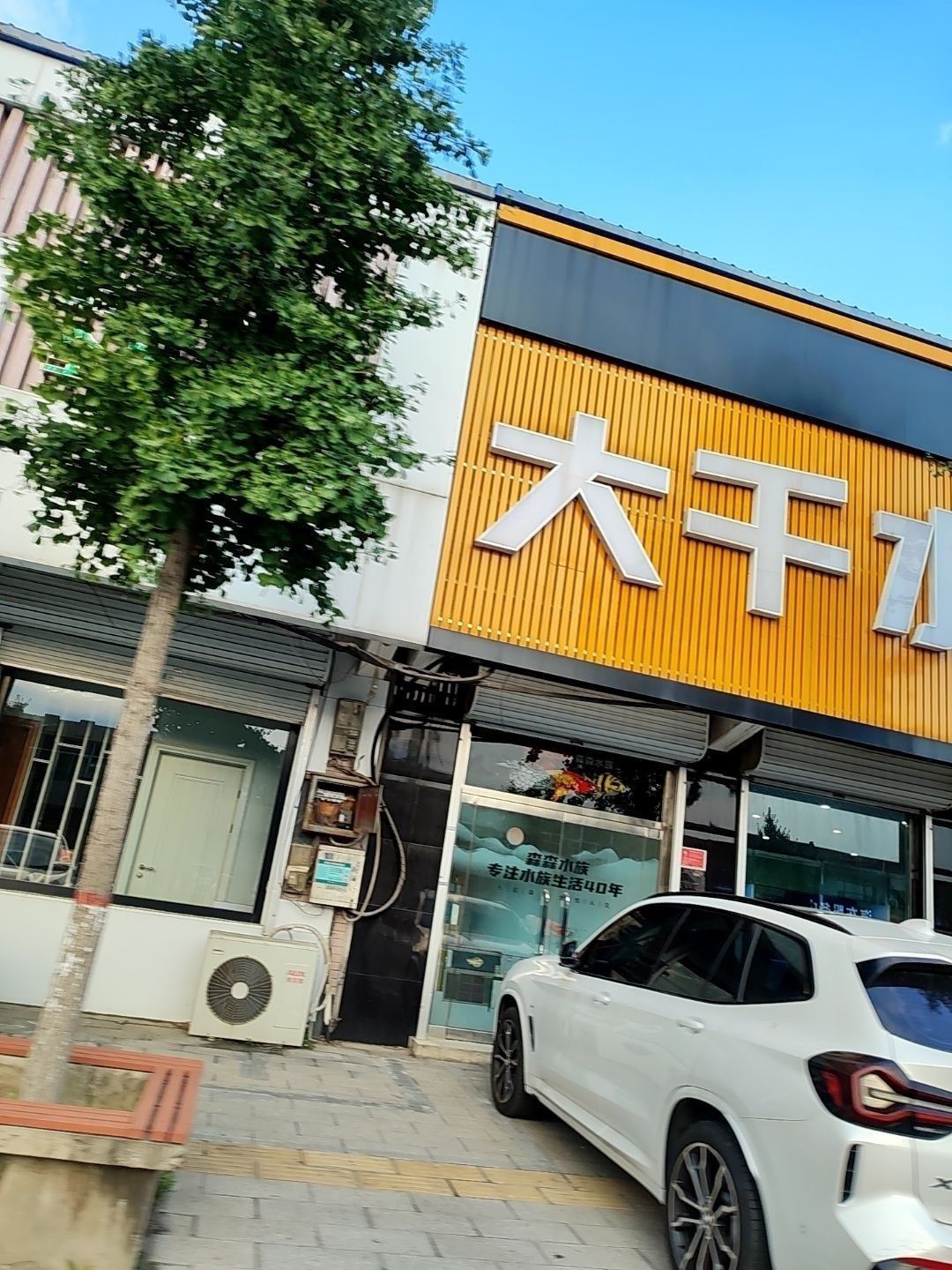 高碑店哪個水族館龍魚好？祥龍魚場龍魚：河北保定高碑店祥龍魚場哪個水族館口碑最好