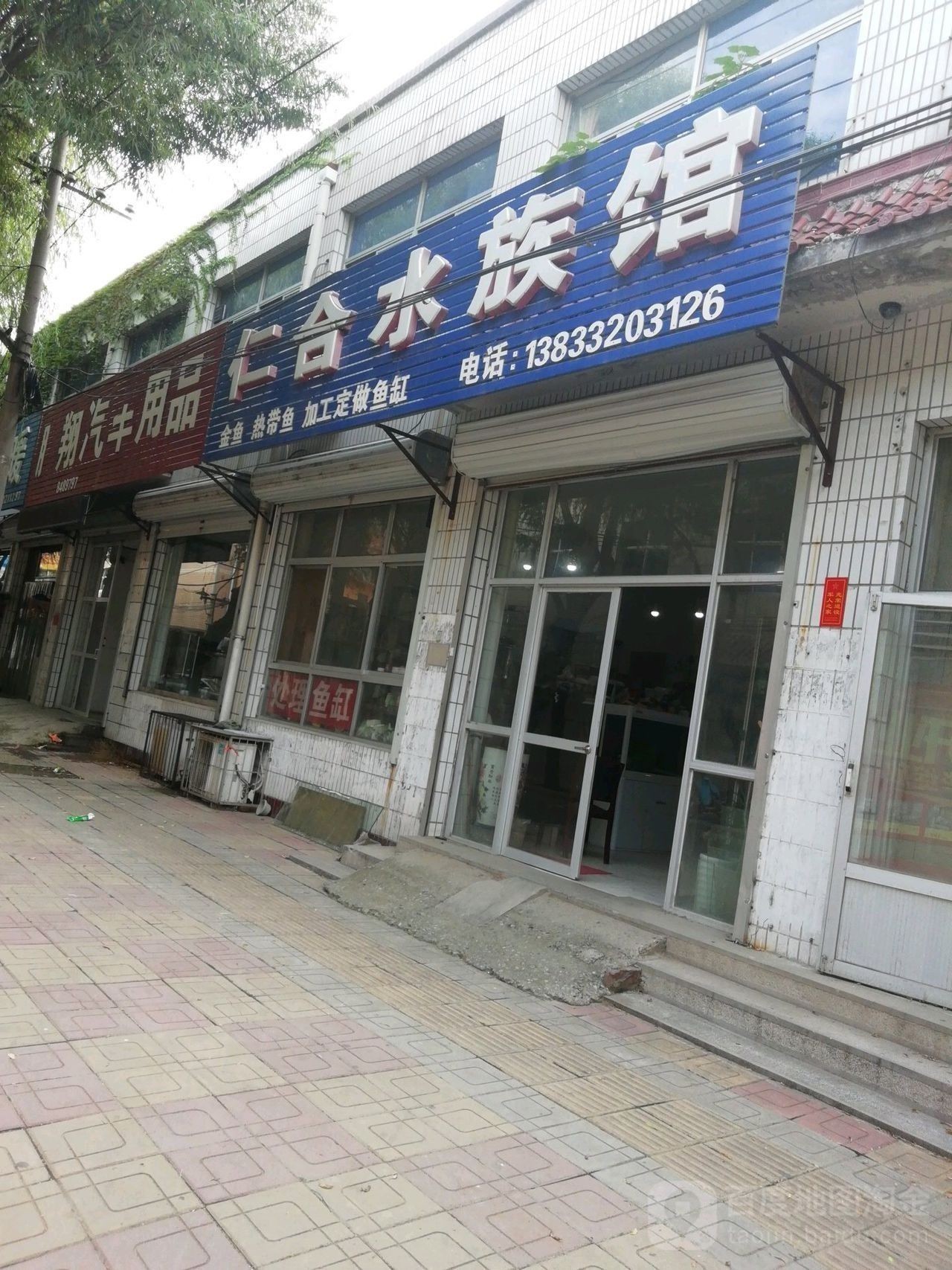 高碑店哪個水族館龍魚好？祥龍魚場龍魚：河北保定高碑店祥龍魚場哪個水族館口碑最好