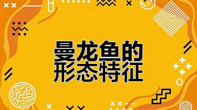 藍曼龍魚有哪些品種變異：藍曼龍魚吃什么