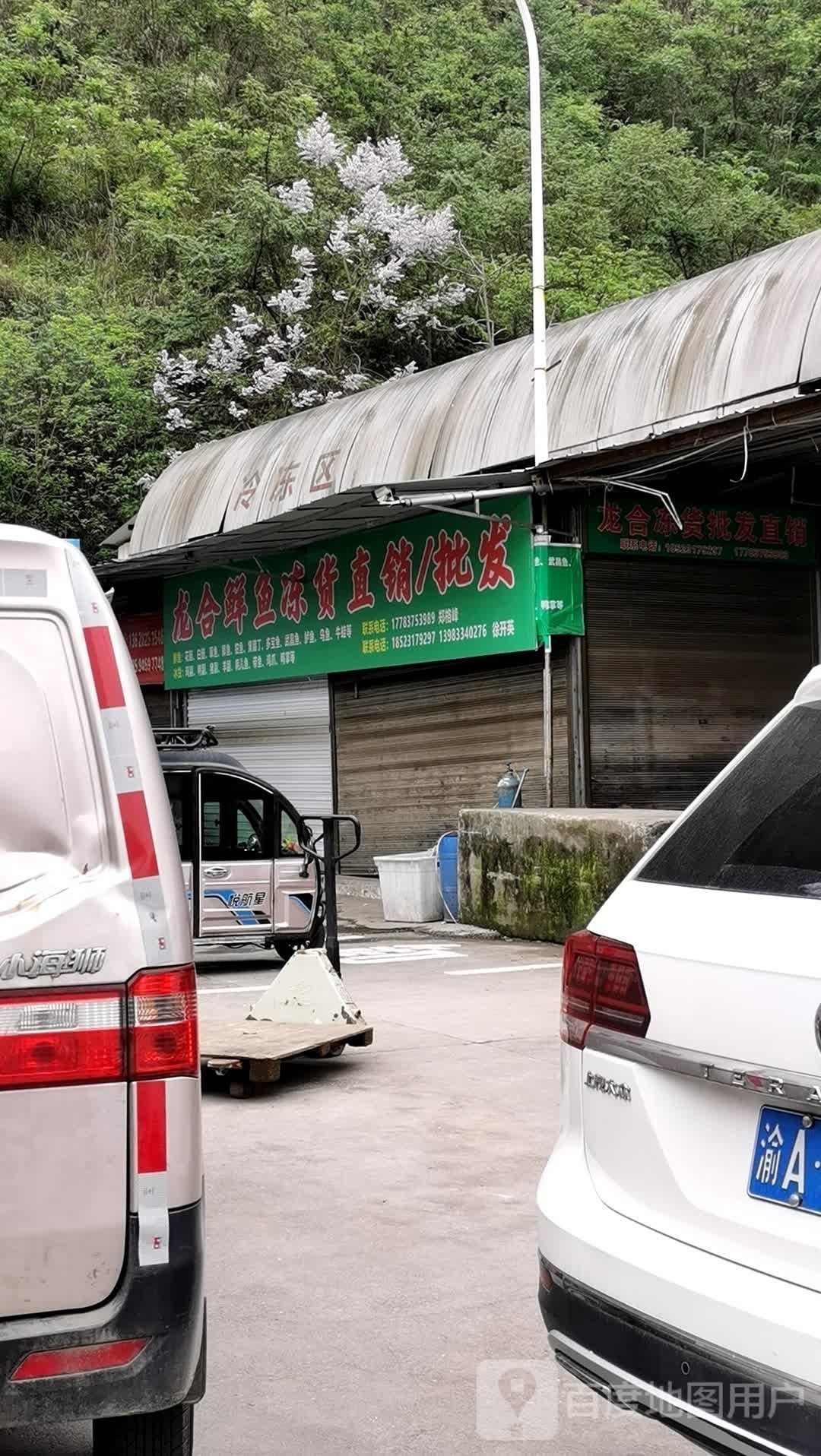 如何聯(lián)系重慶的龍魚批發(fā)商：如何聯(lián)系重慶的龍魚批發(fā)商，在尋找高質(zhì)量的龍魚批發(fā)商時