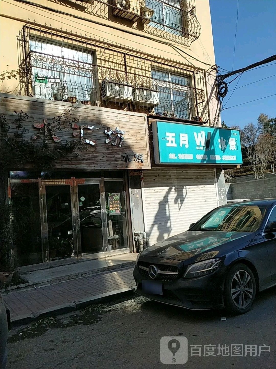 海城哪個(gè)水族館龍魚(yú)好？祥龍魚(yú)場(chǎng)龍魚(yú)：海城祥龍魚(yú)場(chǎng)龍魚(yú)品種和專(zhuān)業(yè)的養(yǎng)殖技術(shù)和專(zhuān)業(yè)的養(yǎng)殖技術(shù)