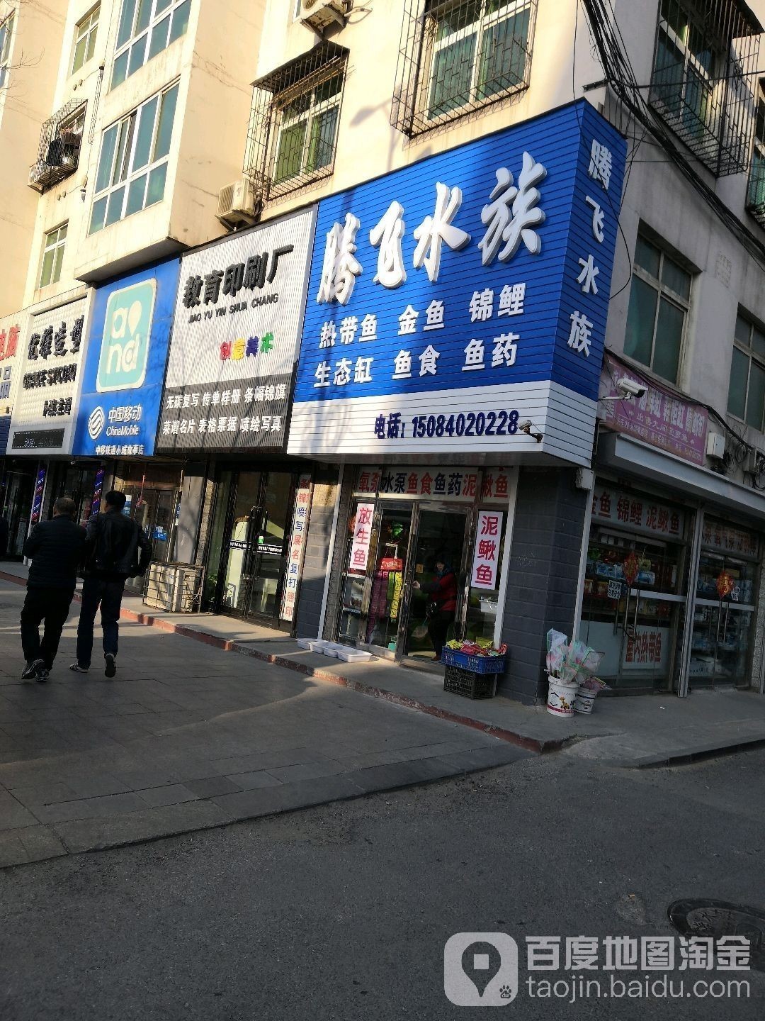 海城哪個(gè)水族館龍魚(yú)好？祥龍魚(yú)場(chǎng)龍魚(yú)：海城祥龍魚(yú)場(chǎng)龍魚(yú)品種和專(zhuān)業(yè)的養(yǎng)殖技術(shù)和專(zhuān)業(yè)的養(yǎng)殖技術(shù)