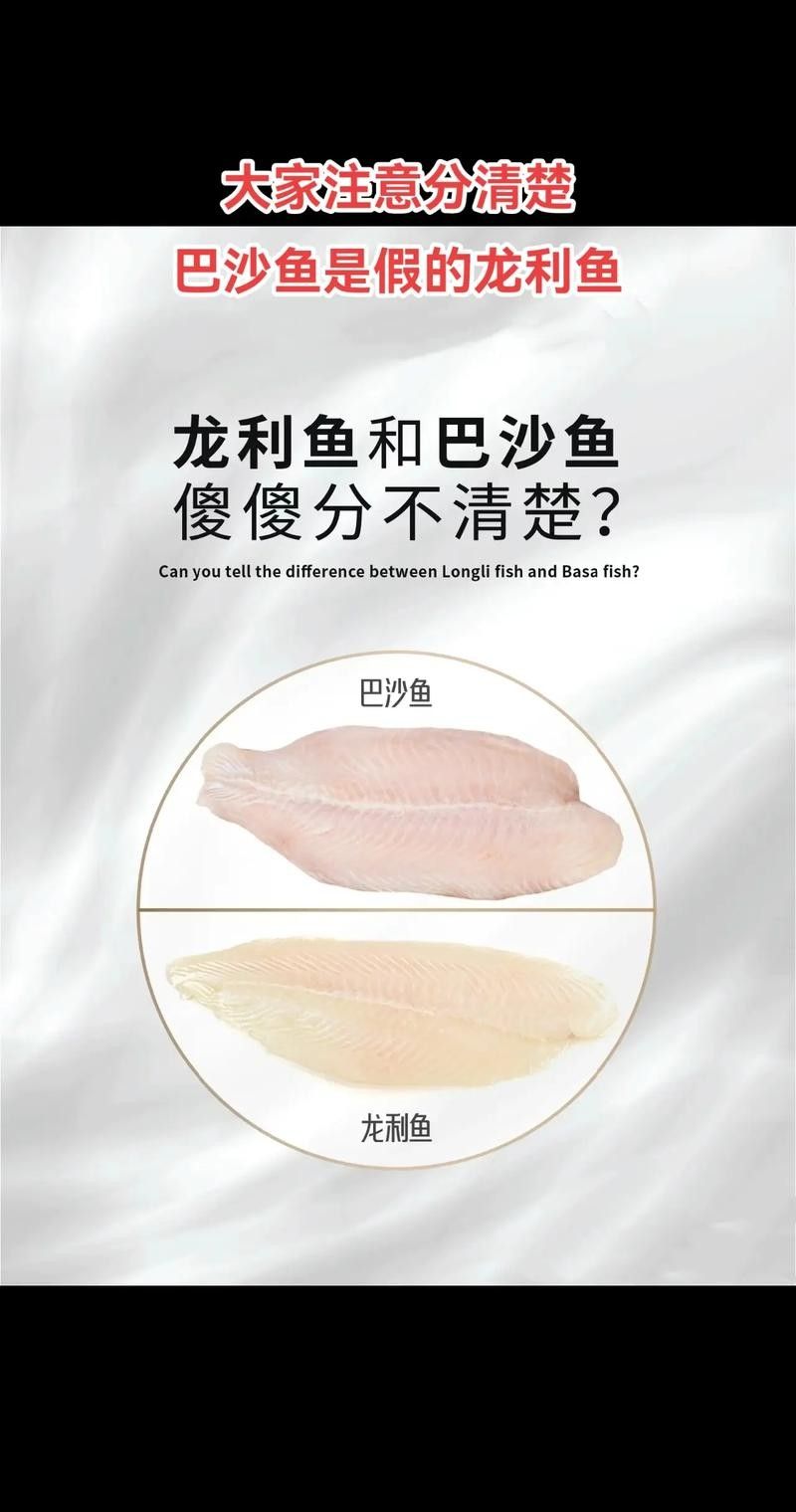 假龍魚有什么用途？：假龍魚在風水里象征著什么