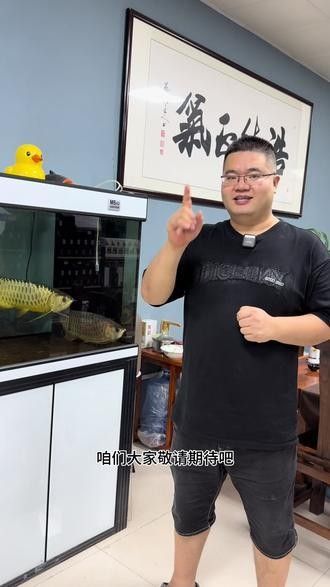 有沒有福龍魚繁殖的圖片？：福龍魚的繁殖條件、配對方法、產(chǎn)卵過程以及幼魚的孵化與護理