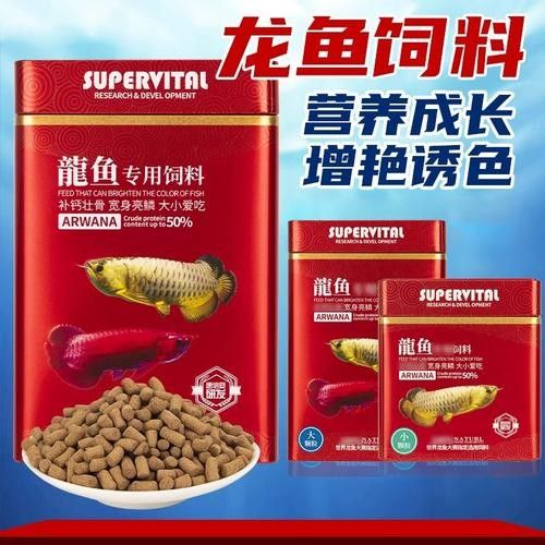 紅色雷龍魚用什么飼料最好：關于紅色雷龍魚飼料選擇的最佳實踐