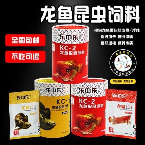 紅色雷龍魚用什么飼料最好：關于紅色雷龍魚飼料選擇的最佳實踐