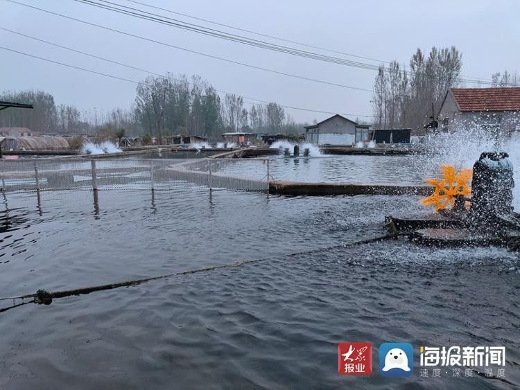 臨沂還有哪些龍魚養殖場？：臨沂市擁有多個龍魚養殖場主要分布在該市的不同區域