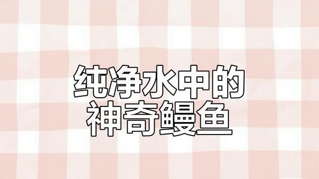 如何區(qū)分龍頭魚和鰻鳚：魚和鰻鳚是兩種不同的魚類，它們在外觀、生態(tài)位方面存在差異