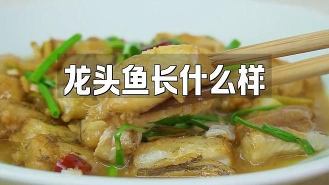 如何區(qū)分龍頭魚和鰻鳚：魚和鰻鳚是兩種不同的魚類，它們在外觀、生態(tài)位方面存在差異