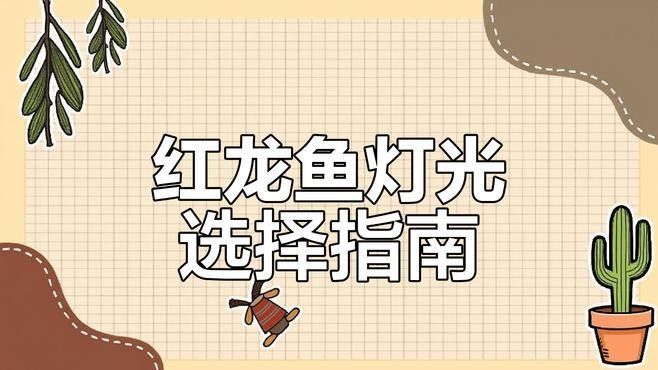 紅龍魚照明燈具的價格范圍是多少：紅龍魚照明燈具的價格范圍