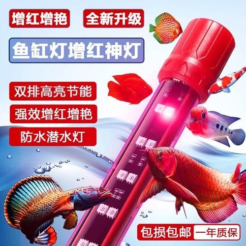 紅龍魚照明燈具的價格范圍是多少：紅龍魚照明燈具的價格范圍