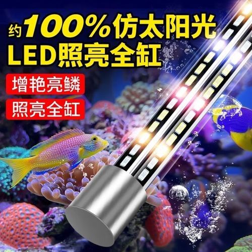 哪些品牌的LED燈適合龍魚？：-*******led燈led燈