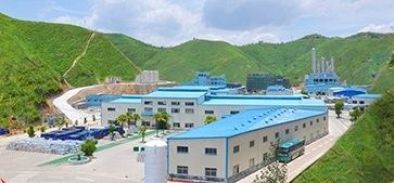 龍魚漆業有官方網站嗎：龍魚漆業官方網站查詢