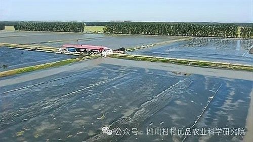 紅龍魚縮鰭會傳染嗎：紅龍魚縮鰭會傳染嗎？ 紅龍魚縮鰭會傳染嗎：紅龍魚縮鰭會傳染嗎？ 龍魚百科 第5張