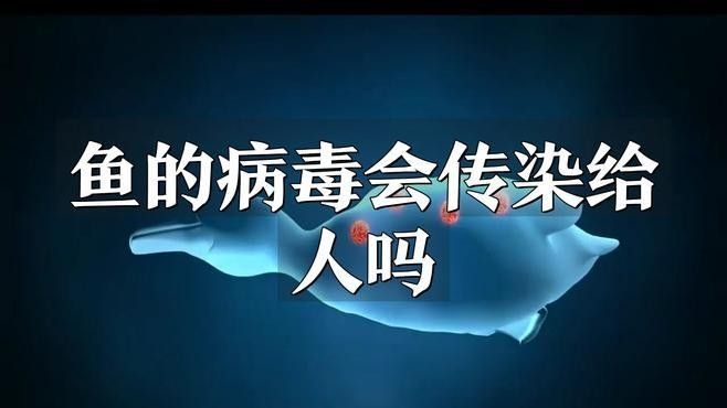 紅龍魚縮鰭會傳染嗎：紅龍魚縮鰭會傳染嗎？ 紅龍魚縮鰭會傳染嗎：紅龍魚縮鰭會傳染嗎？ 龍魚百科 第1張