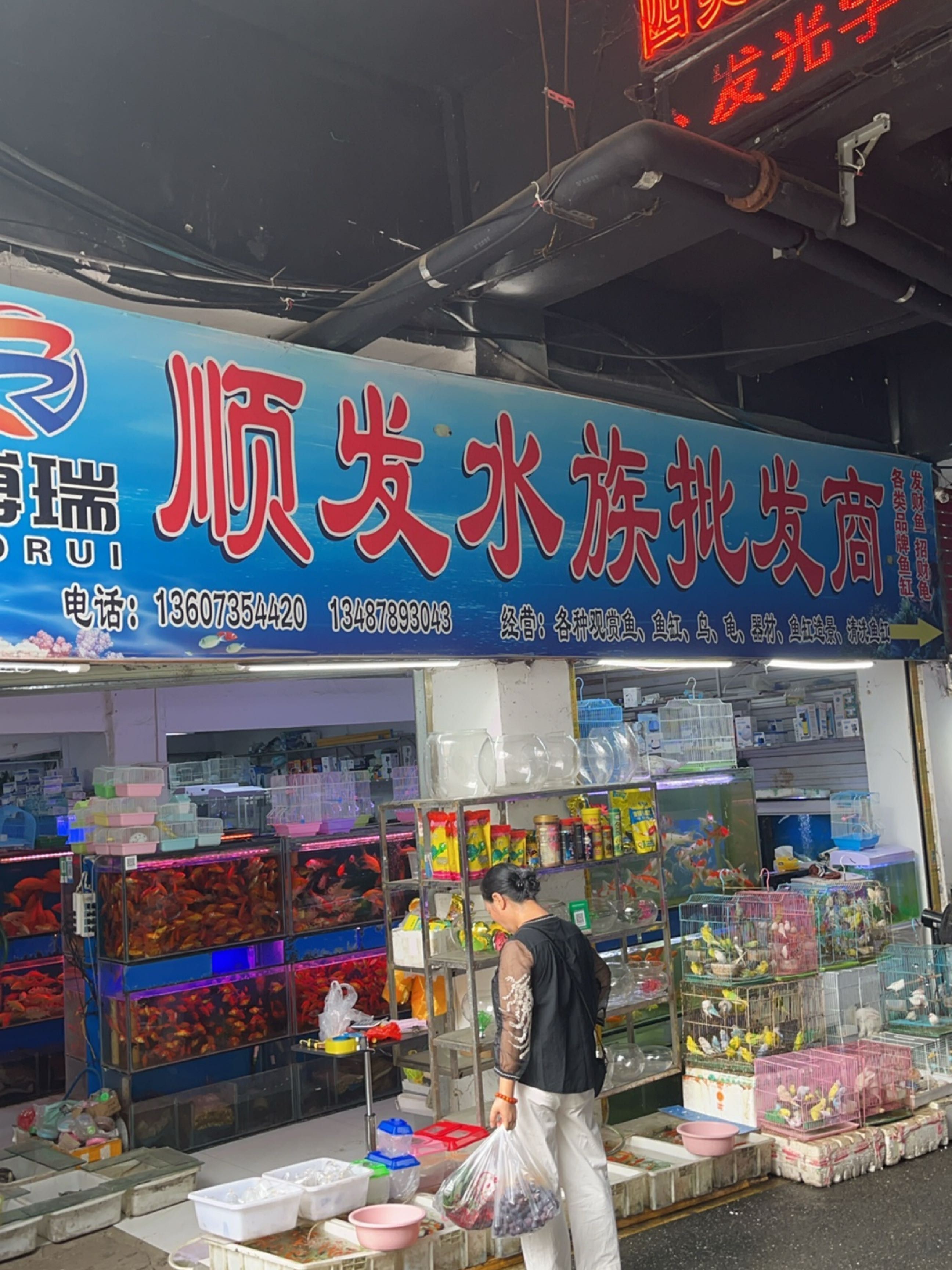 北湖哪個水族館龍魚好？祥龍魚場龍魚：北湖哪個水族館龍魚好祥龍魚場龍魚在尋找一個優質的水族館