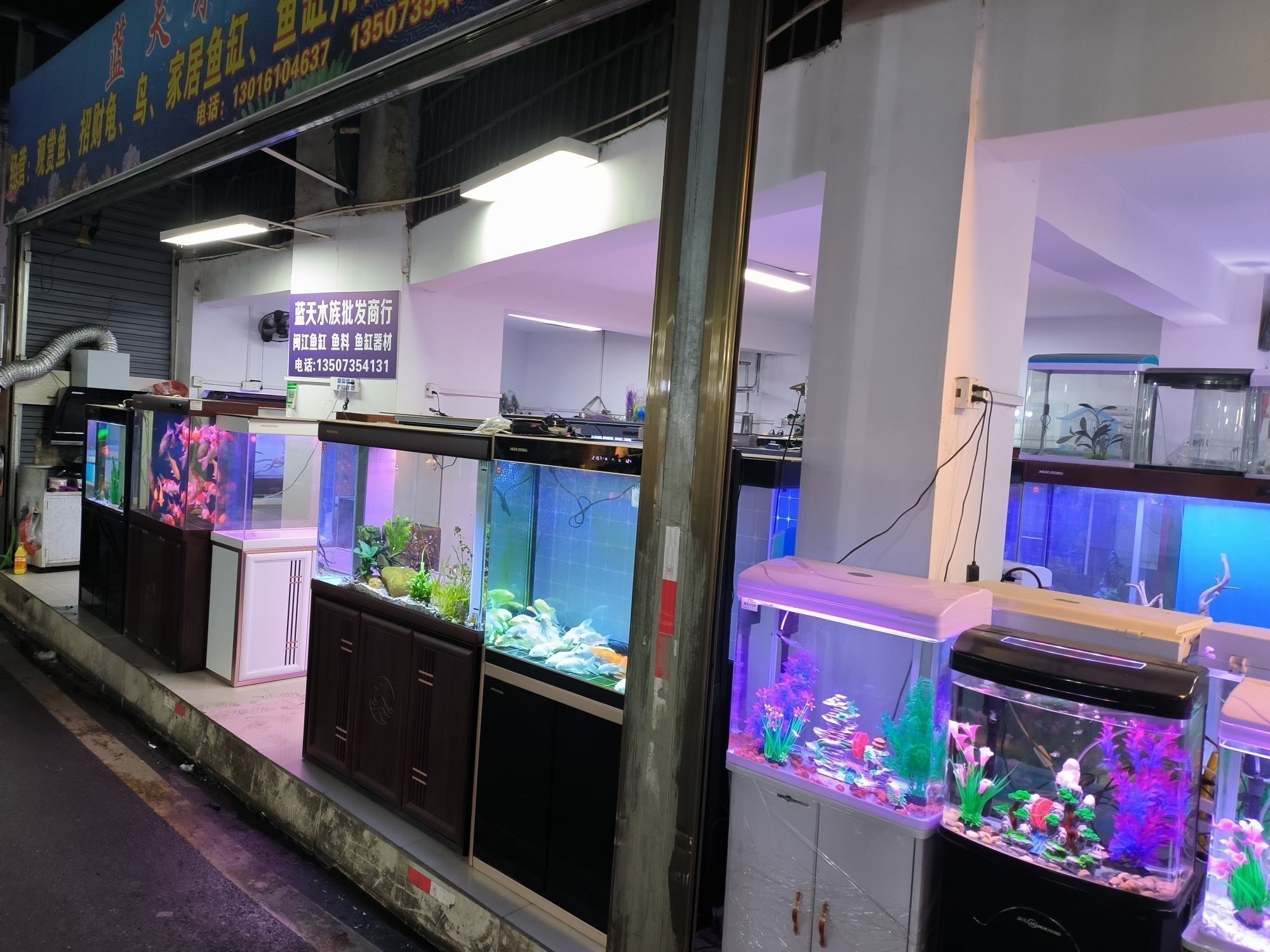 北湖哪個水族館龍魚好？祥龍魚場龍魚：北湖哪個水族館龍魚好祥龍魚場龍魚在尋找一個優質的水族館