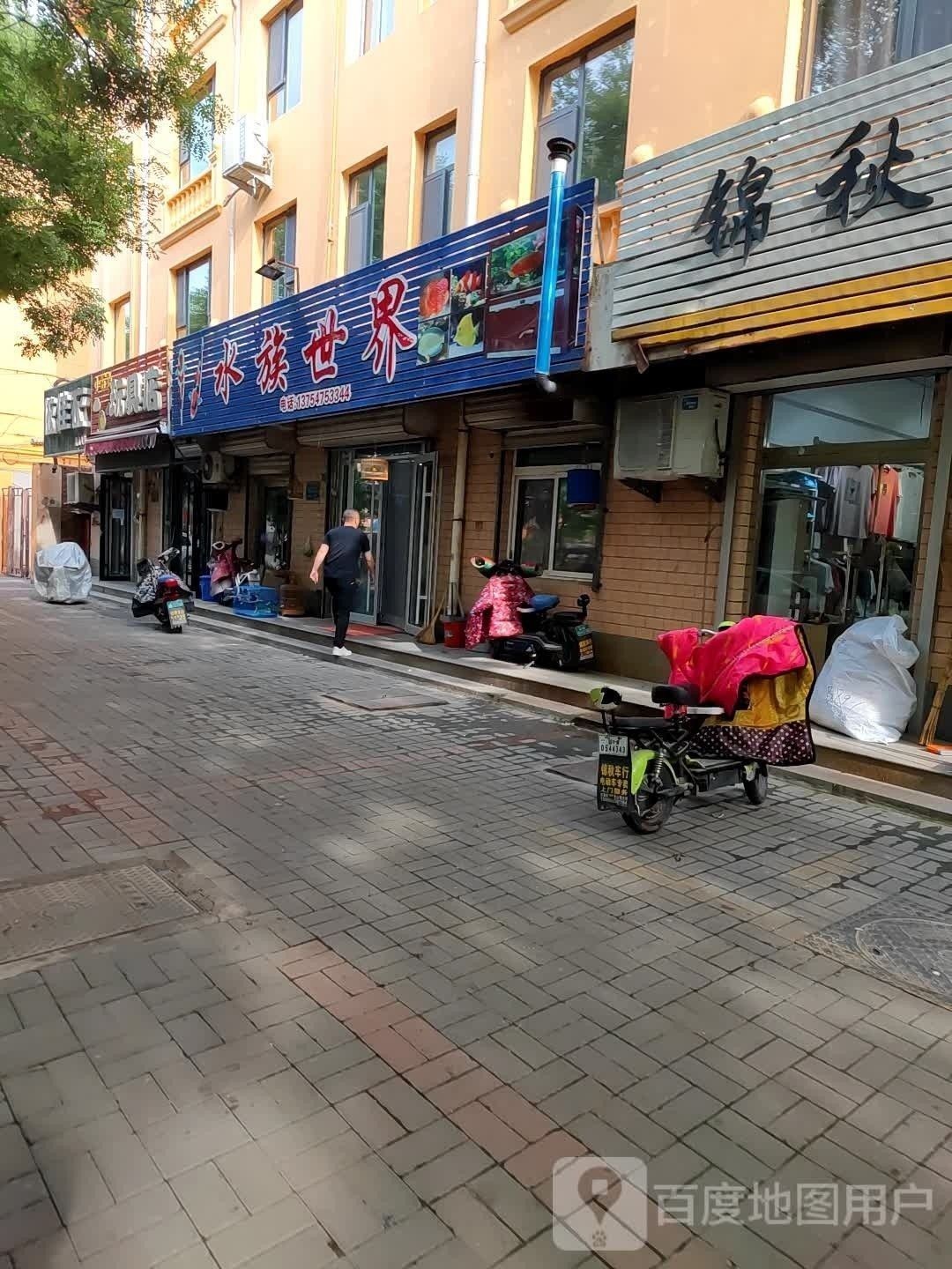 桓臺哪個水族館龍魚好？祥龍魚場龍魚：桓臺哪個水族館龍魚好