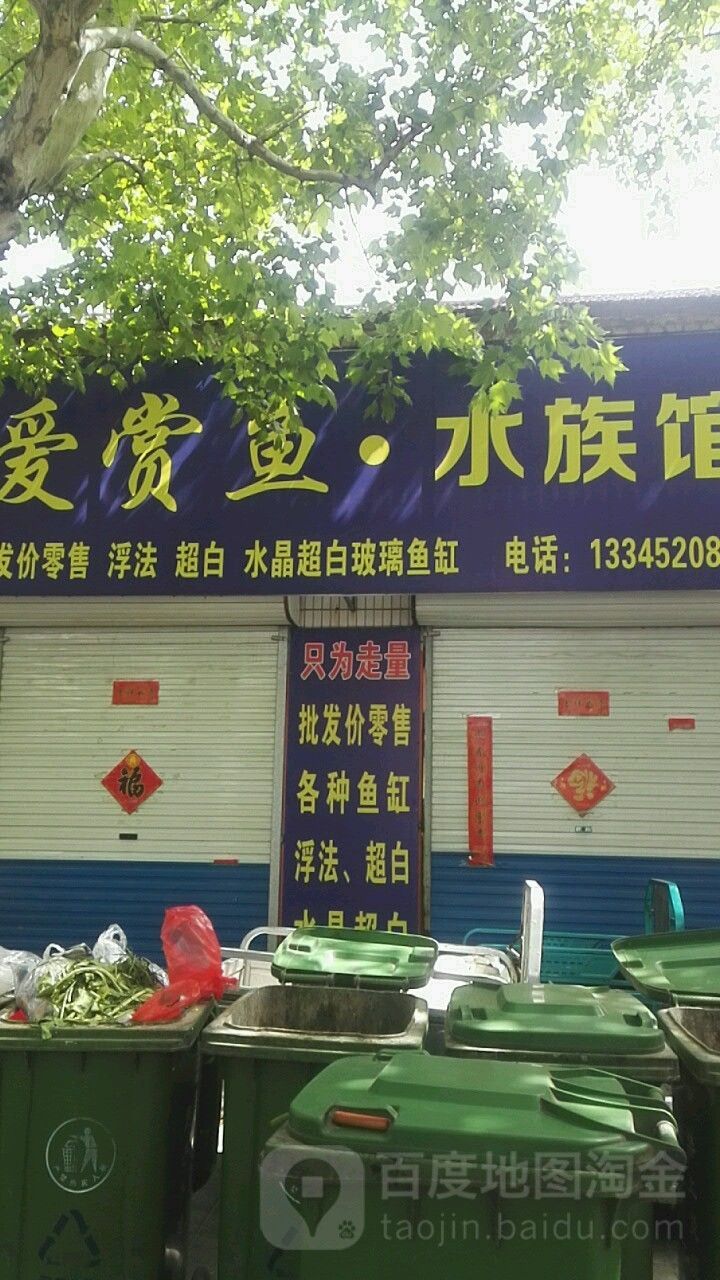 桓臺哪個水族館龍魚好？祥龍魚場龍魚：桓臺哪個水族館龍魚好