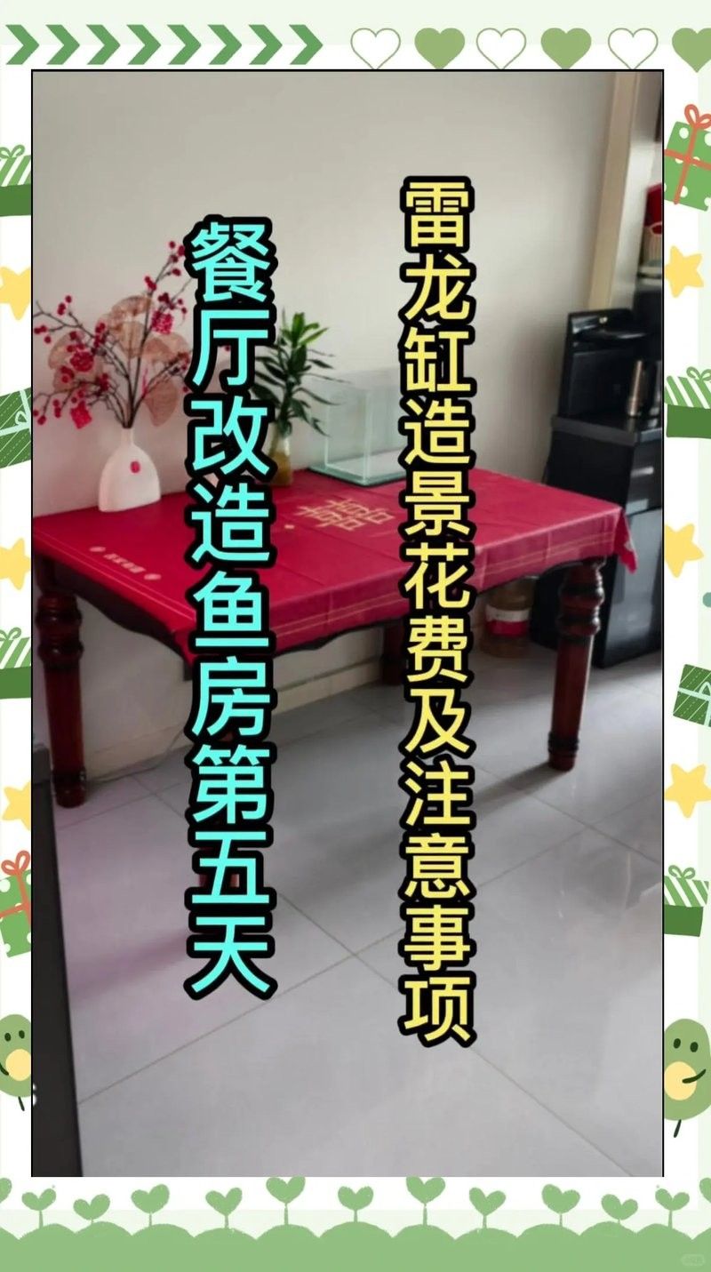 雷龍魚缸需要哪些特殊設備：雷龍缸開缸全攻略咸熙you為雷龍魚打造河流生態缸