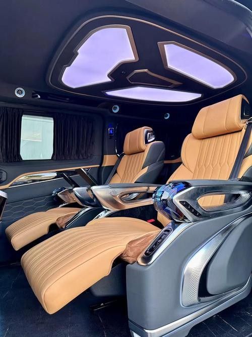 巴卡雷龍的價格是多少？：巴卡雷龍的價格如何