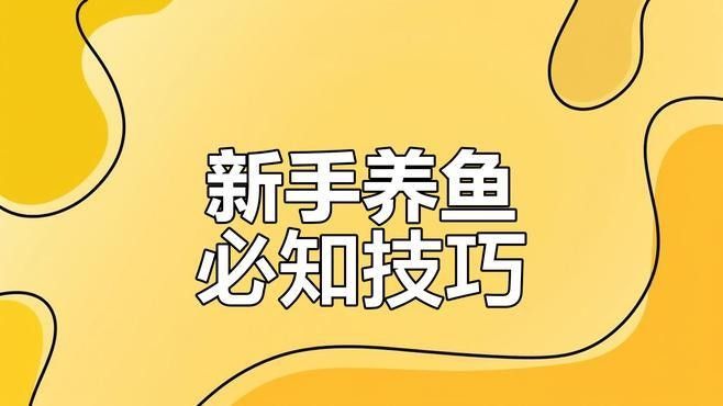 龍魚吃活食有哪些風(fēng)險(xiǎn)：<strong><mark>汕尾</mark></strong>市城區(qū)人民政府|龍魚喂食指南
