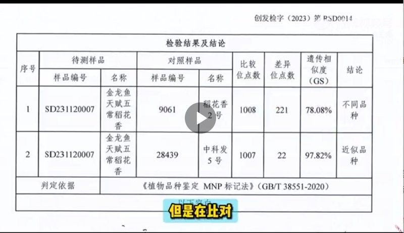 <strong><mark>吉林</mark></strong>金龍魚對水稻品種有何要求？：<strong><mark>吉林</mark></strong>金龍魚對水稻品種的要求