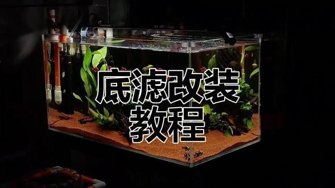 龍魚缸底濾系統怎么安裝：安裝龍魚缸底濾系統的步驟