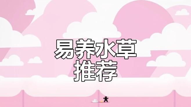 草缸造景中哪些水草容易養：10種適合初學者的草缸水草，不僅易于生長，而且易于生長
