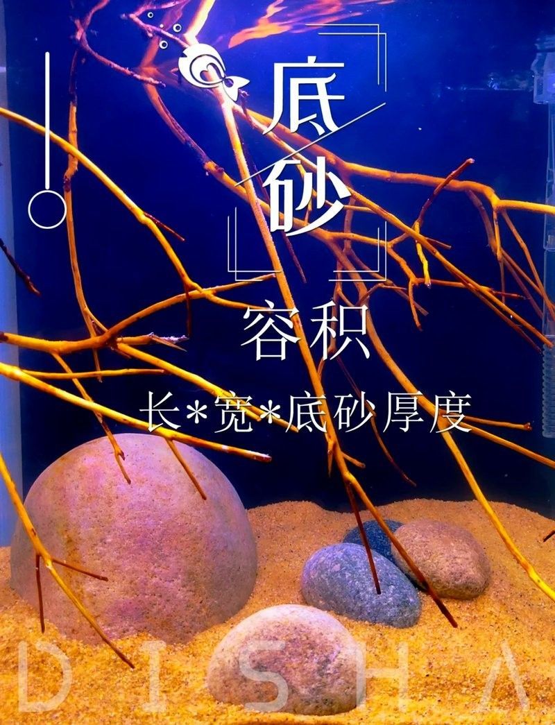 如何計算金龍魚缸的總功率？：如何計算金龍魚缸總功率？