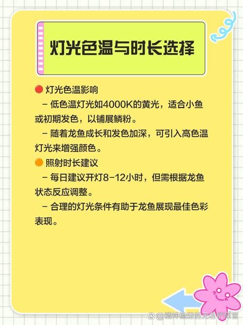 紅龍魚燈光顏色如何選擇：如何選擇合適的紅龍魚燈光顏色