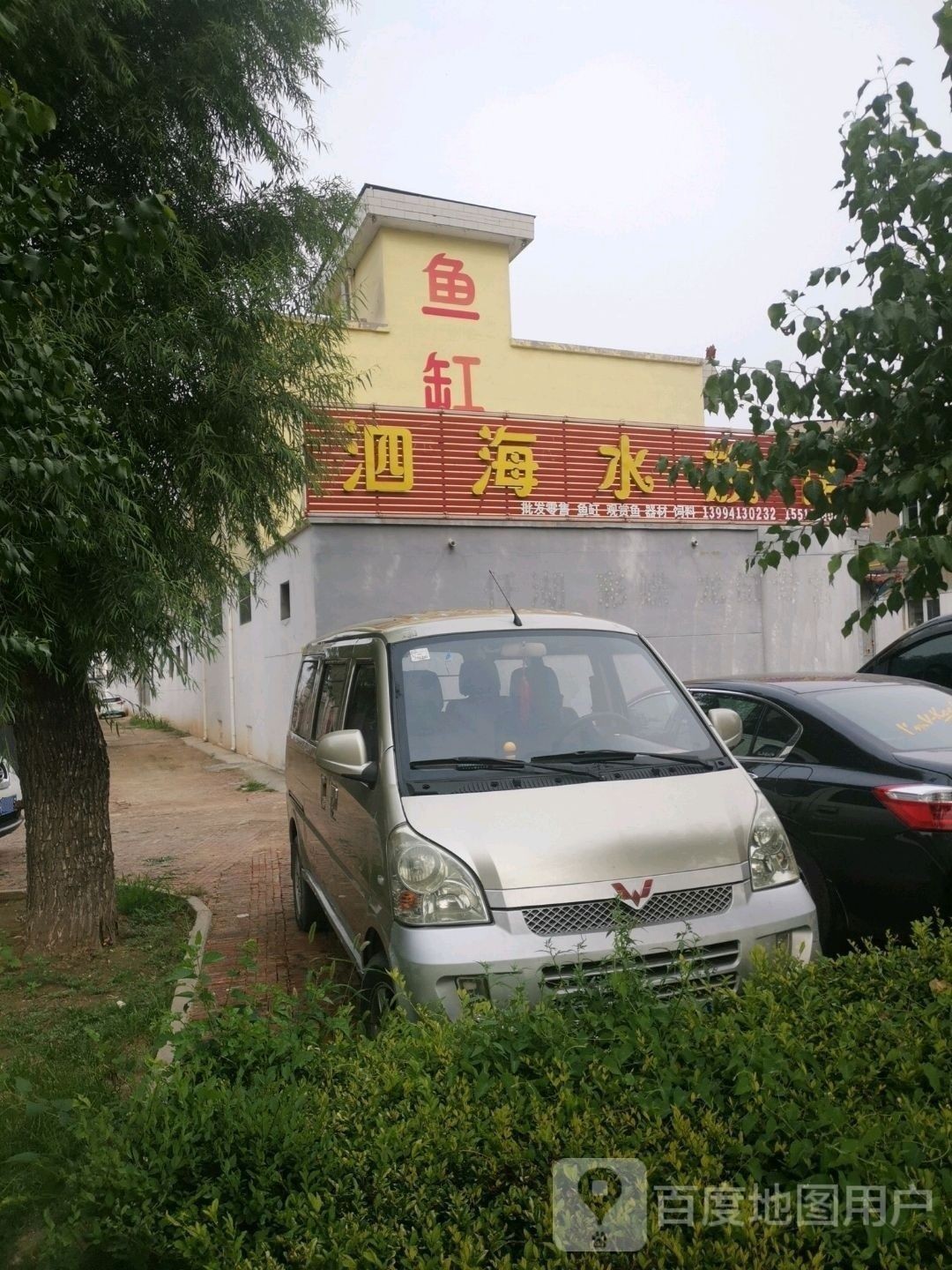 繁峙哪個(gè)水族館龍魚好？祥龍魚場(chǎng)龍魚：廣州祥龍魚場(chǎng)，極品祥龍魚場(chǎng)