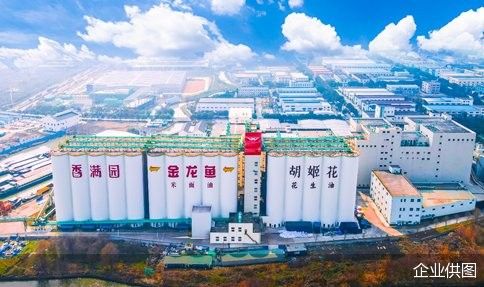 金龍魚中央廚房有哪些優勢：金龍魚中央廚房業務的核心優勢