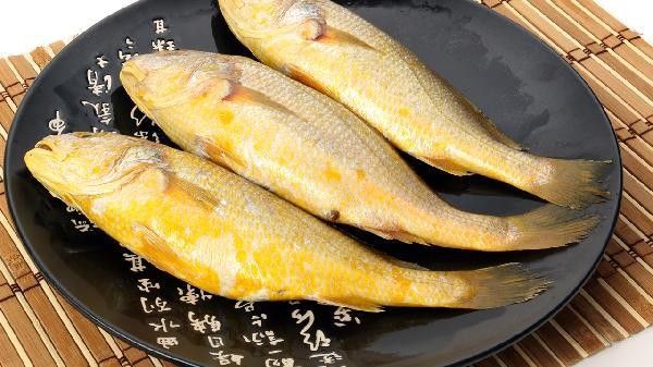 如何區分真假海龍魚照片：如何區分真假海龍魚照片的一些方法