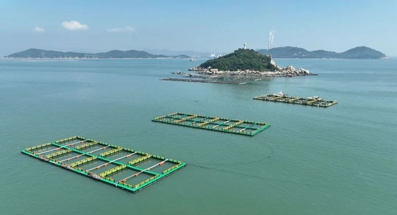 潮州金龍魚提供住宿嗎：潮州州金龍魚酒店是否提供住宿服務
