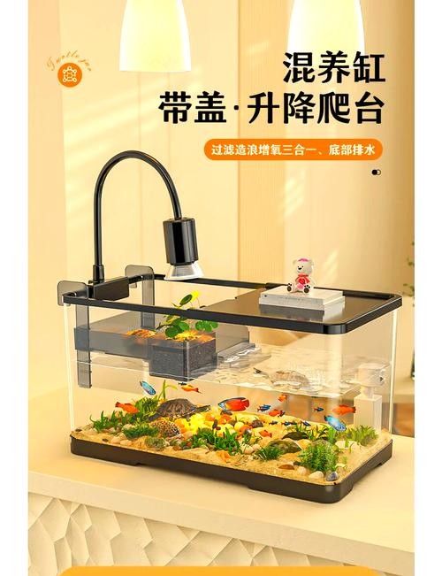 混養時應該如何設置躲避物：烏龜應激怎么辦