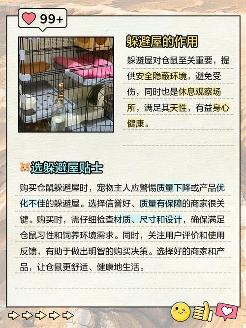 混養時應該如何設置躲避物：烏龜應激怎么辦