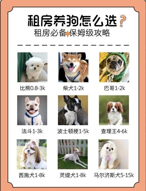 混養時應該如何設置躲避物：烏龜應激怎么辦