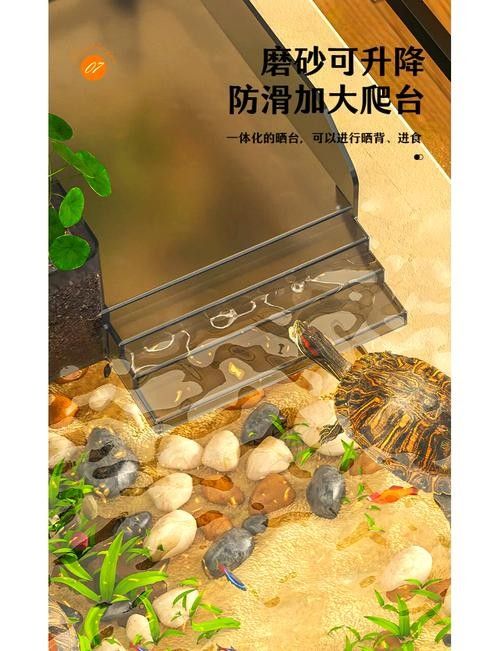 混養時應該如何設置躲避物：烏龜應激怎么辦