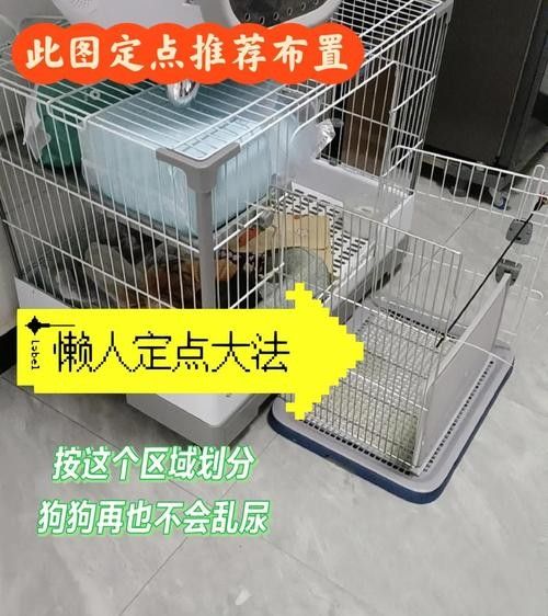 混養時應該如何設置躲避物：烏龜應激怎么辦