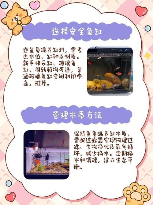 混養時應該如何設置躲避物：烏龜應激怎么辦