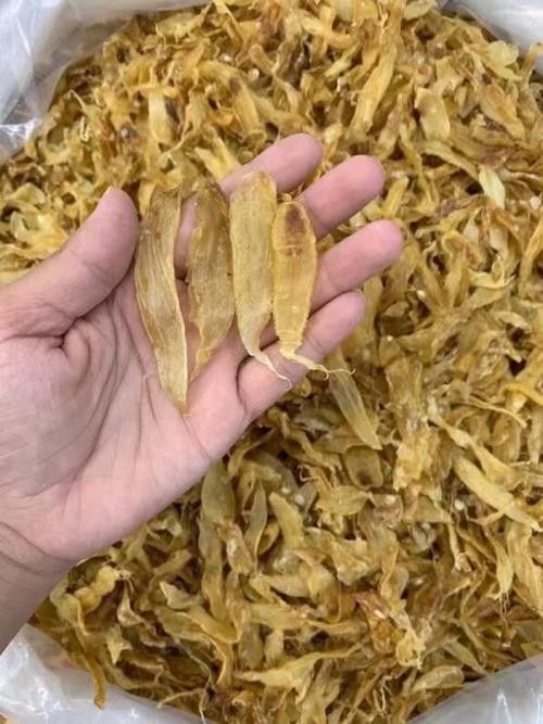 南美小金龍魚膠的價格是多少：南美小金龍魚膠最新報價