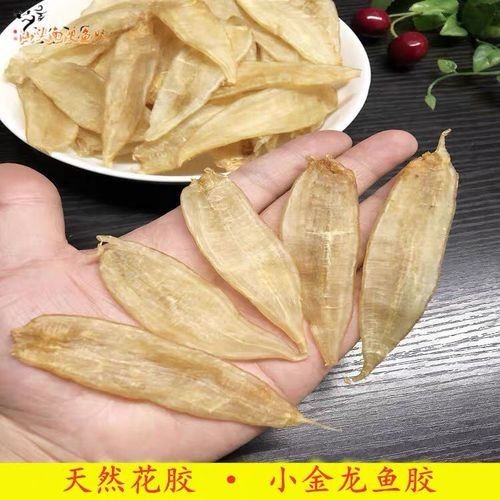 南美小金龍魚膠的價格是多少：南美小金龍魚膠最新報價