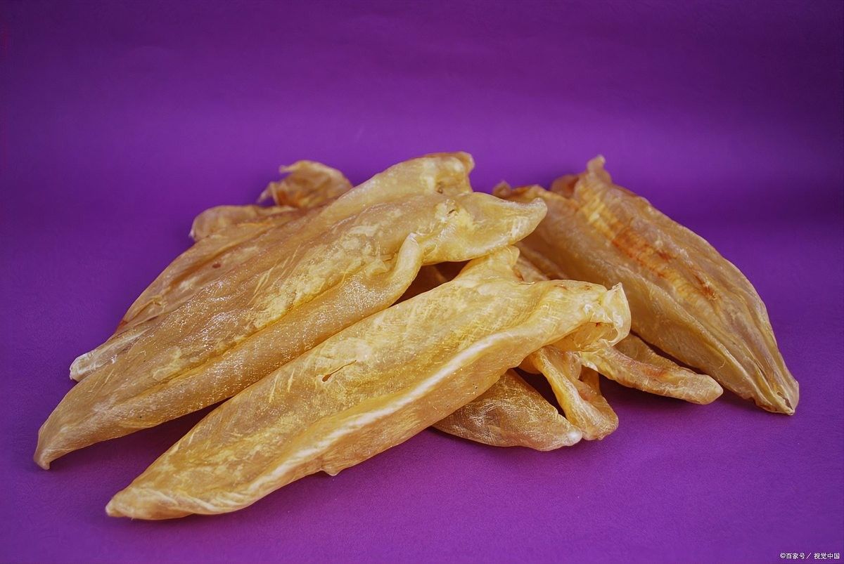 南美小金龍魚膠的價格是多少：南美小金龍魚膠最新報價