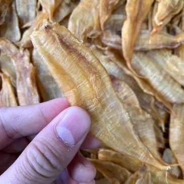 南美小金龍魚膠的價格是多少：南美小金龍魚膠最新報價