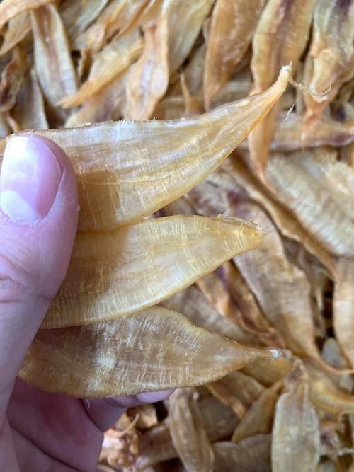 南美小金龍魚膠的價格是多少：南美小金龍魚膠最新報價