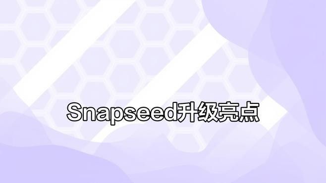 Snapseed有哪些動(dòng)態(tài)濾鏡？：snapseed動(dòng)態(tài)濾鏡