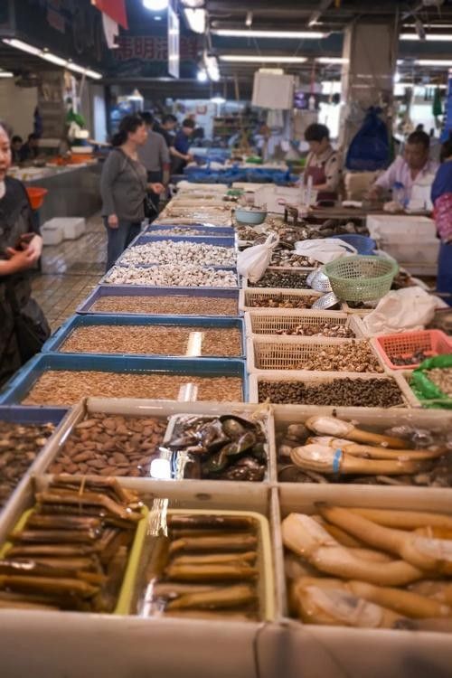 寧波龍魚市場的價格如何？：寧波龍魚市場價格分析
