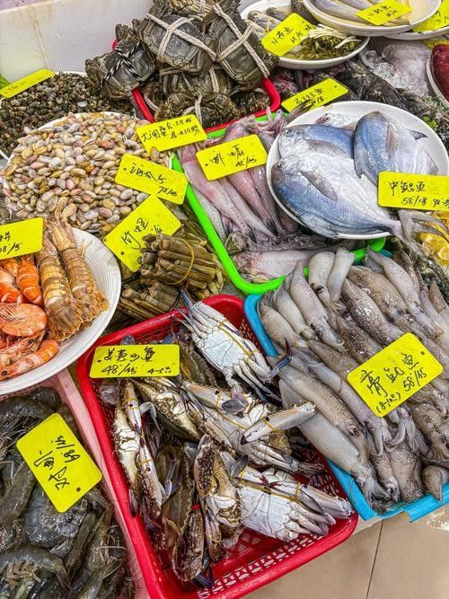 寧波龍魚市場的價格如何？：寧波龍魚市場價格分析