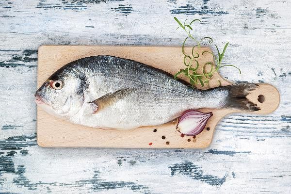 六角龍魚爛鰓病多久能治好：六角龍魚爛鰓病怎么辦
